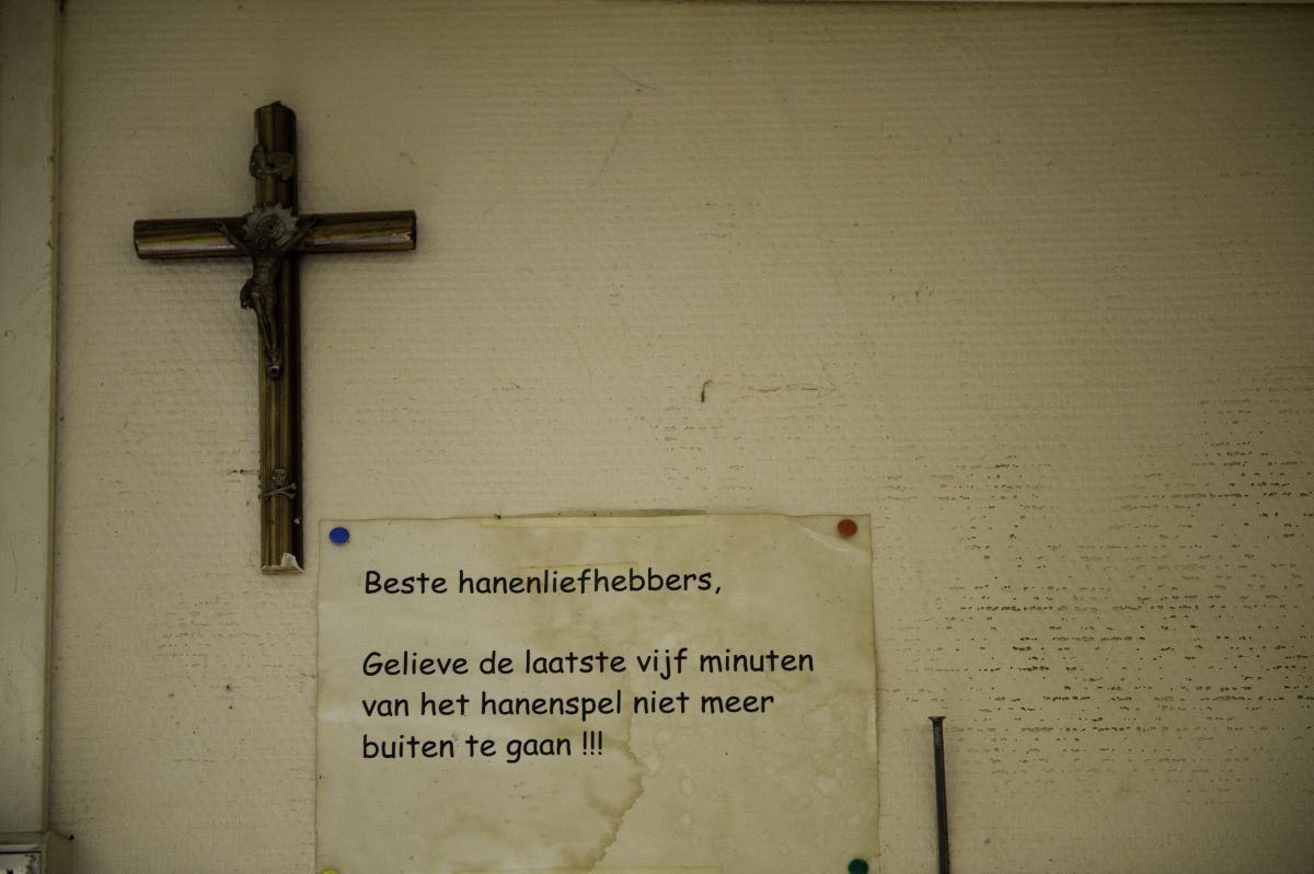 Expo Kiekenkot deel cafés