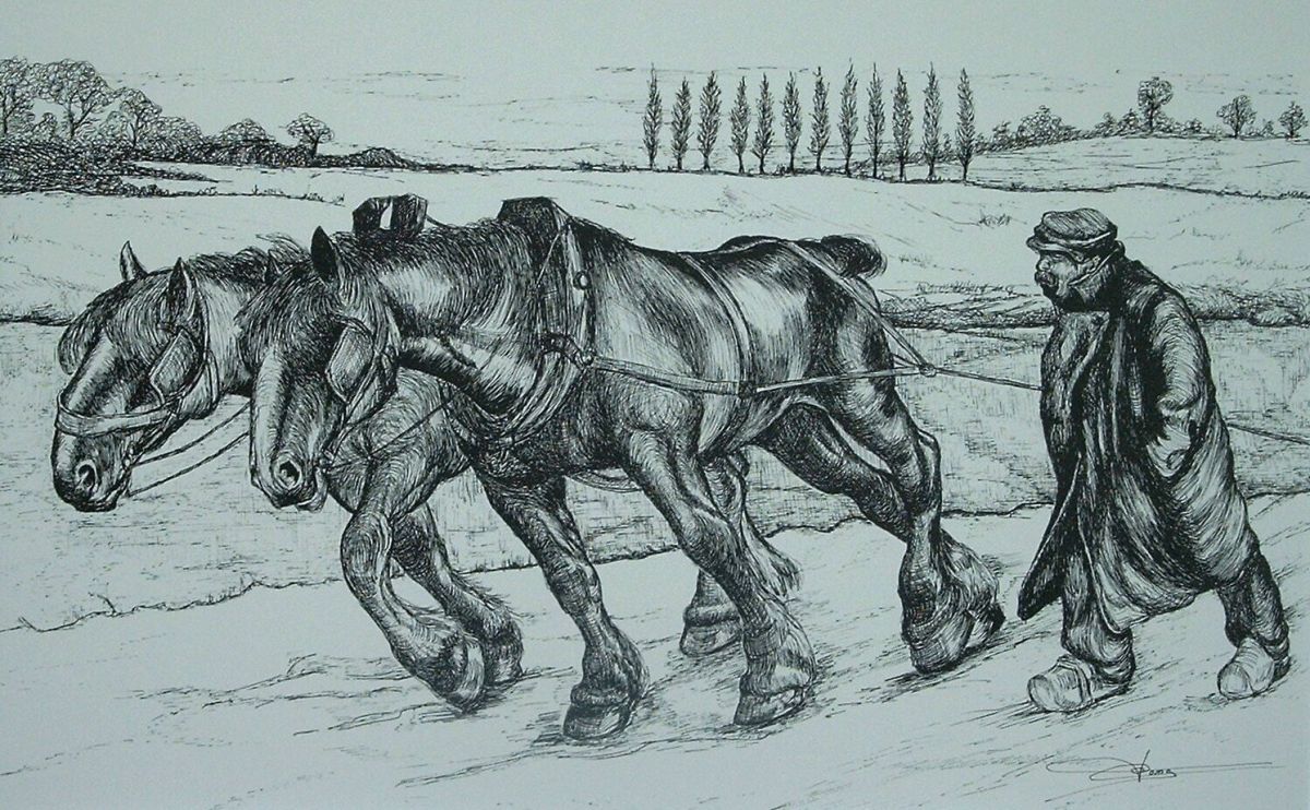 Boer met trekpaarden