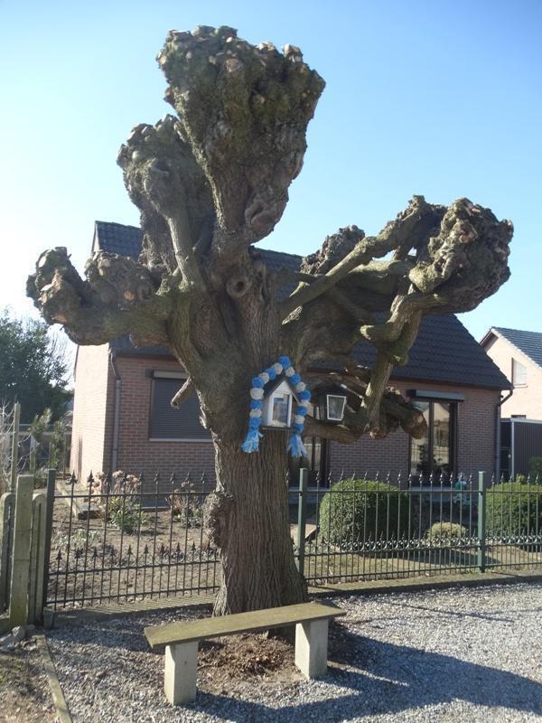 Klitsbergstraat nr47