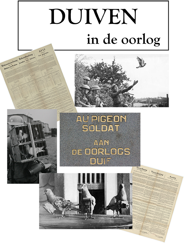 duiven in de oorlog
