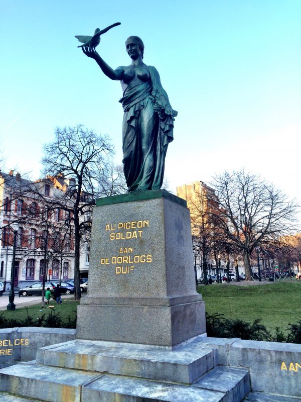 monument oorlogsduif